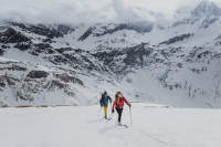 Conseils sur la manière de sélectionner les matériaux de base (17)