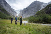 Devold - amateurs de chiens