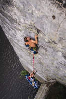 Servantes d'eau et plantes grimpantes