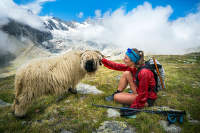 la course en montagne