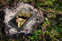 Électronique et plein air