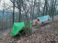 hamacs dans les bois