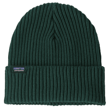 Casquettes Patagonia Fishermans Rolled Beanie Cascade Green