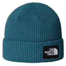 Casquettes The North Face SALTY LINED BEANIE BQ5 SPACE