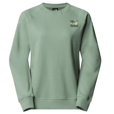 Sweat-shirt The North Face CONNECT RELAXED CREW SWEATSHIRT-GRAPHI Women BQ1 SLATE MOSS
