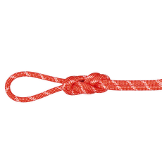Corde Mammut 8.0 Alpine Classic Rope assorted 9000