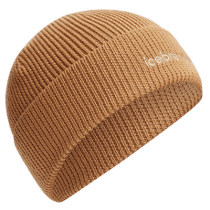 Casquettes Icebreaker Merino All Day Toque Beanie Trail