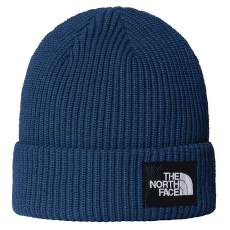 Casquettes The North Face SALTY LINED BEANIE SHADY BLUE