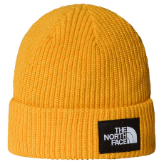 Casquettes The North Face SALTY LINED BEANIE SUMMIT GOLD