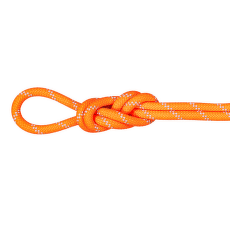Corde Mammut 9.5 Alpine Dry Rope 2286 vibrant orange-zen