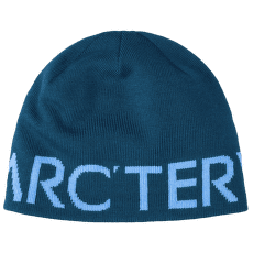 Casquettes Arcteryx Word Head Toque Nightscape / Glacial