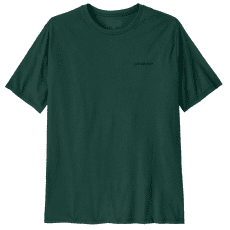 T-shirt a manches courtes Patagonia P-6 Logo Responsibili Tee Men Cascade Green