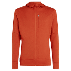 Sweat-shirt Icebreaker Merino 260 Quantum IV LS Zip Hoodie Men AGATE