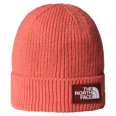 Casquettes The North Face TNF LOGO BOX CUFFED BEANIE EED MARS DUST/SUMAC