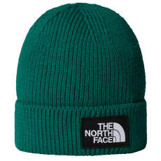 Casquettes The North Face TNF LOGO BOX CUFFED BEANIE EVERGREEN