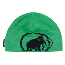 Casquettes Mammut Tweak Beanie (1191-01352) 40313 pinea-black