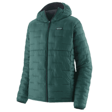 Veste Patagonia Micro Puff Hoody Men Cascade Green