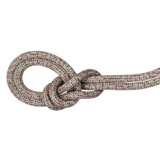 Corde Mammut 9.5 Crag We Care Classic Rope assorted 9000