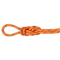 Corde Mammut 9.0 Alpine Sender Dry Rope Sunrise-ice