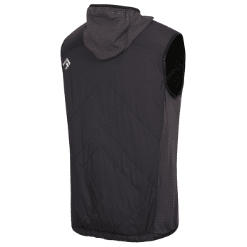 Gilet Direct Alpine Alpha Vest anthracite