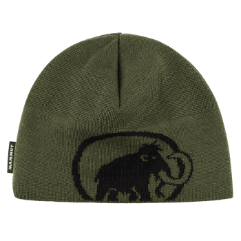 Casquettes Mammut Tweak Beanie (1191-01352) 40294 dark marsh-black