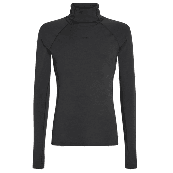 Sweat-shirt Icebreaker 300 MerinoFine™ Polar LS Roll Neck Men Black
