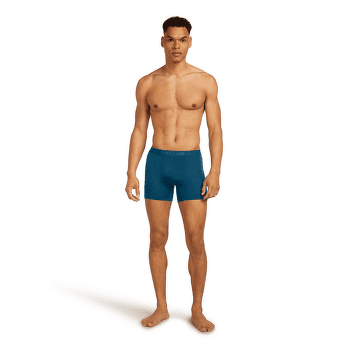Caleçons Icebreaker Merino 125 Anatomica Cool-Lite Boxers Men ATLANTIS