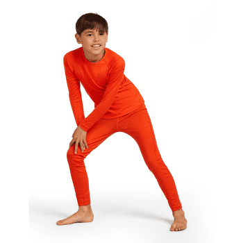 Leggings Icebreaker 200 Oasis Leggings Gritstone HTHR
