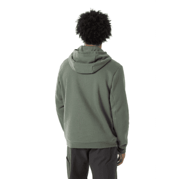 Sweat-shirt Arcteryx Emblem Fleece Hoody Men Forage