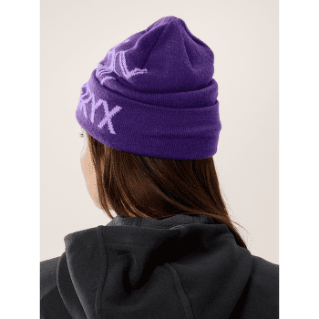 Casquettes Arcteryx Bird Word Toque 24K Black