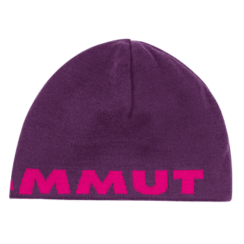Casquettes Mammut Mammut Logo Beanie (1191-04891) grape-pink