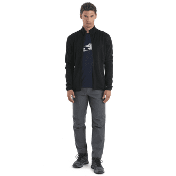 Sweat-shirt Icebreaker Merino 560 Realfleece™ Elemental LS Zip Men Black