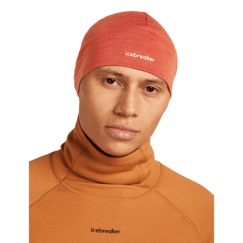 Casquettes Icebreaker Merino 200 Oasis Beanie SUMMIT