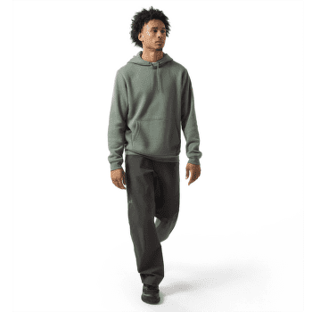 Sweat-shirt Arcteryx Emblem Fleece Hoody Men Forage