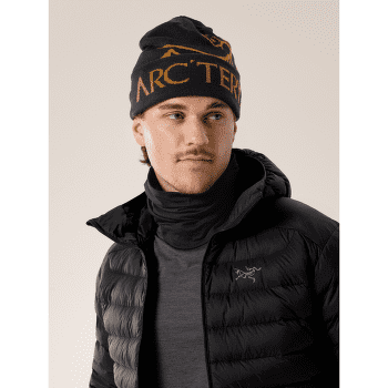 Casquettes Arcteryx Bird Word Toque 24K Black