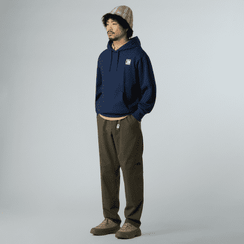 Sweat-shirt The North Face MOUNTAIN LOGO RELAXED HOODED SWEATSHIR Men Khaki Stone