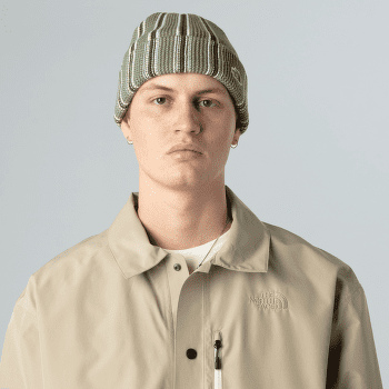 Casquettes The North Face URBAN EXPLORE BEANIE FG0 FLAX/LINEN/VINTAGE WHITE