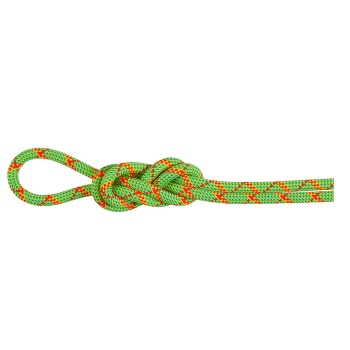 Corde Mammut 8.0 Alpine Core Protect Dry Rope 1287 halo-vibrant orange