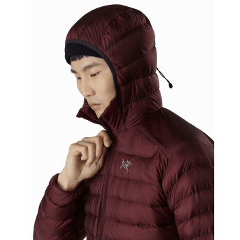 Veste Arcteryx Cerium LT Hoody Men (18013) Komorebi