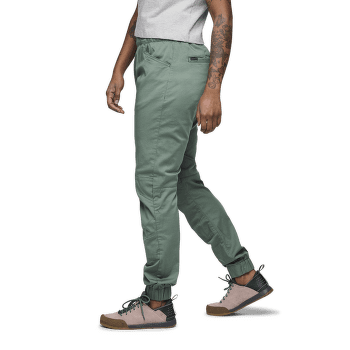 Pantalons Black Diamond Notion Pants Women Fig