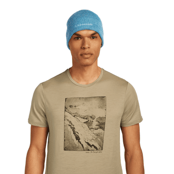 Casquettes Icebreaker Merino All Day Toque Beanie Trail