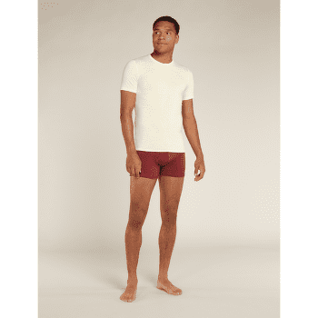 T-shirt a manches courtes Icebreaker Anatomica SS Crewe Men (103033) UNDYED