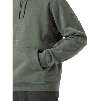 Sweat-shirt Arcteryx Emblem Fleece Hoody Men Forage