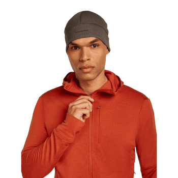Sweat-shirt Icebreaker Merino 260 Quantum IV LS Zip Hoodie Men AGATE