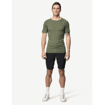 T-shirt a manches courtes Devold Lauparen Merino 190 Base Tee Men 404A LICHEN
