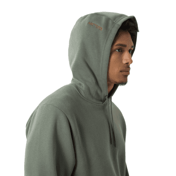 Sweat-shirt Arcteryx Emblem Fleece Hoody Men Forage