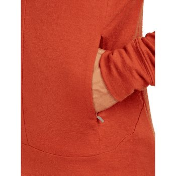 Sweat-shirt Icebreaker Merino 260 Quantum IV LS Zip Hoodie Men AGATE
