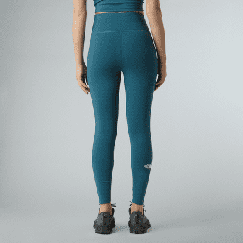 Leggings The North Face FLEX WARM TIGHTS Women TNF BLACK