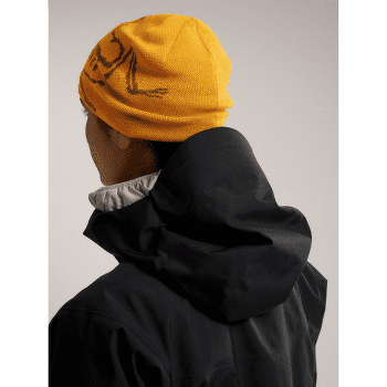 Casquettes Arcteryx Bird Head Toque Dynasty / Arc Silk