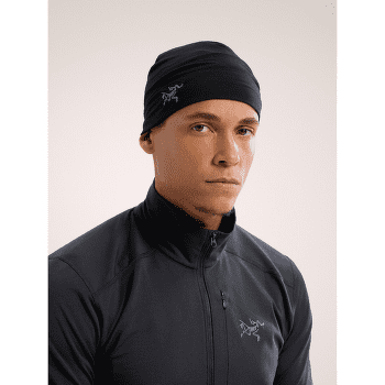 Casquettes Arcteryx Rho Toque Glacial